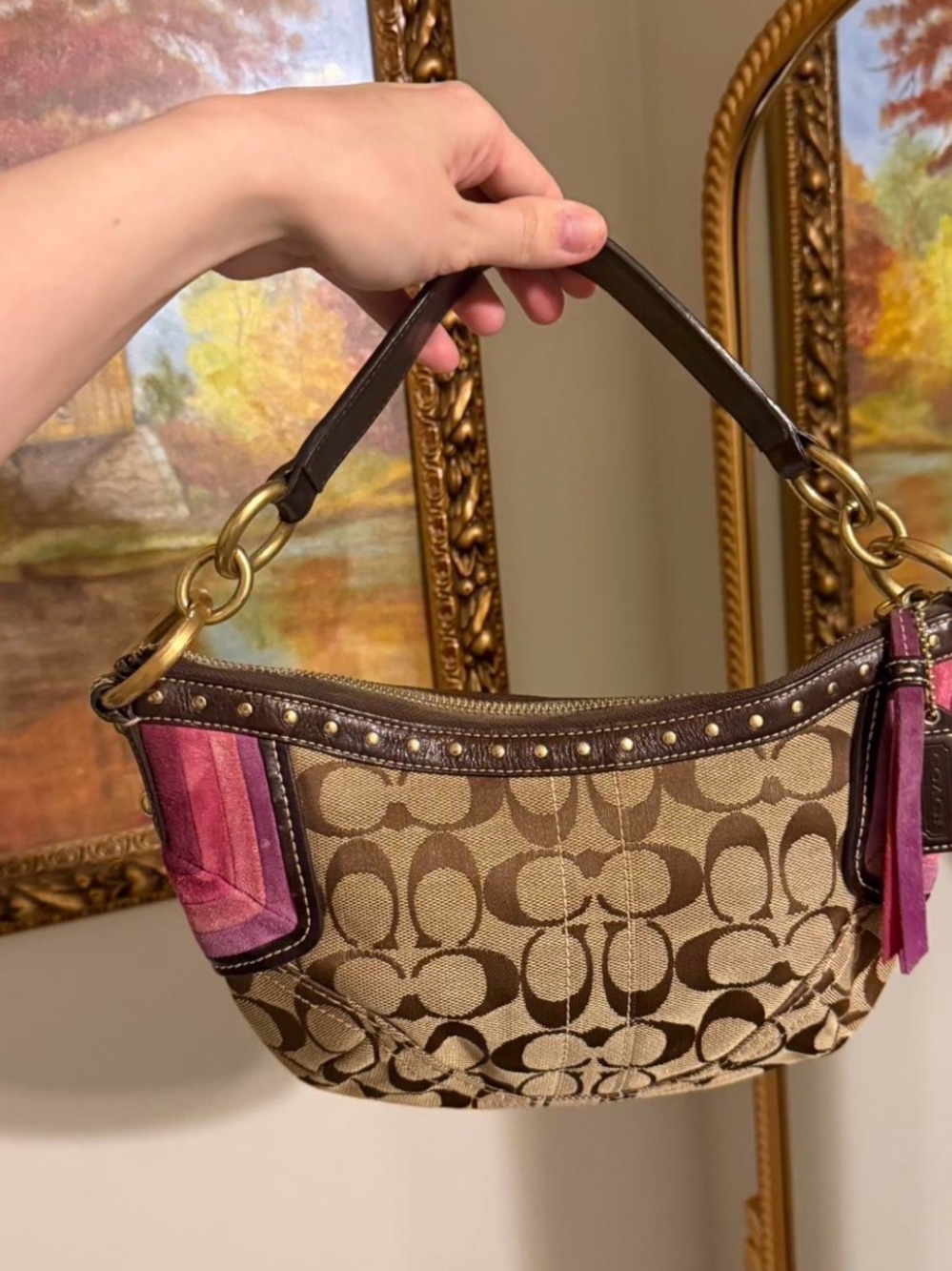 Coach Signature hobo with suede